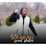 سعید شکری – زلف تو